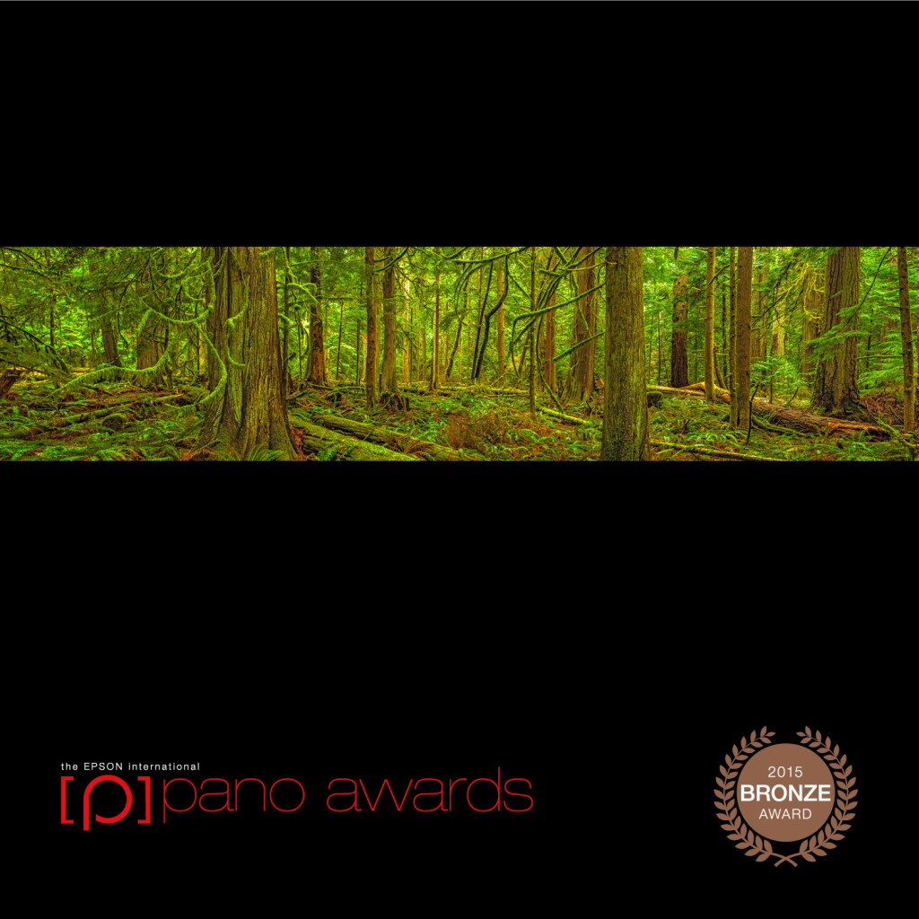 2015-Epson-Pano-Awards-Bronze-Social-341