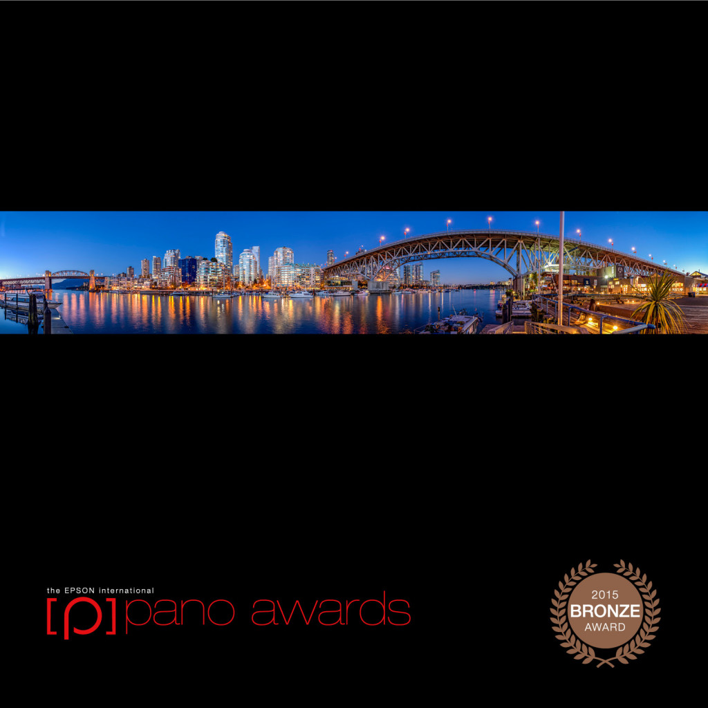 2015-Epson-Pano-Awards-Bronze-Social-363