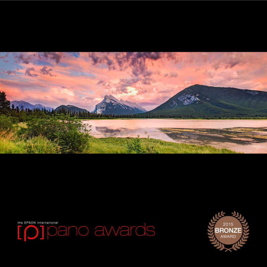 2015-Epson-Pano-Awards-Bronze-Social-968